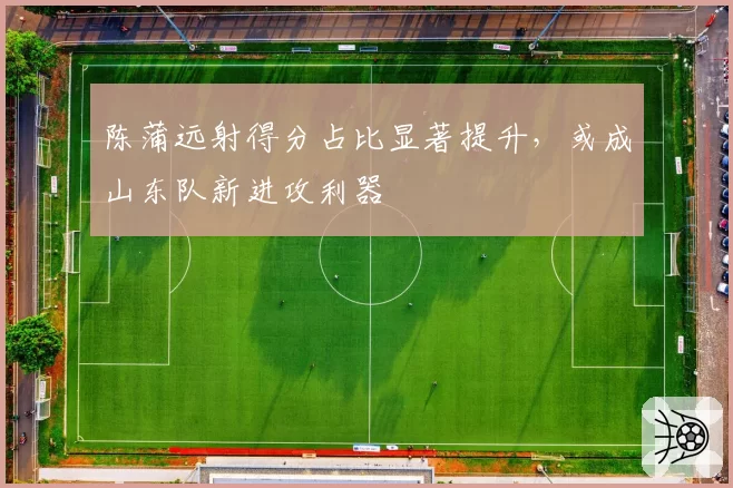 陈蒲远射得分占比显著提升，或成山东队新进攻利器